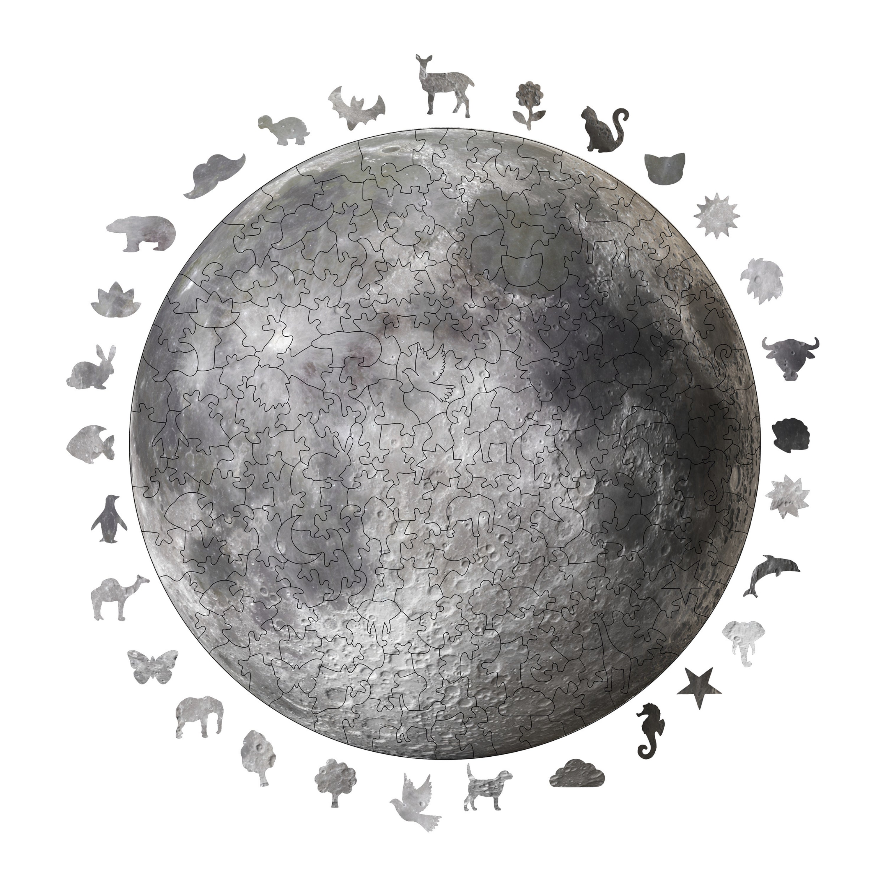 Selected Variant Image