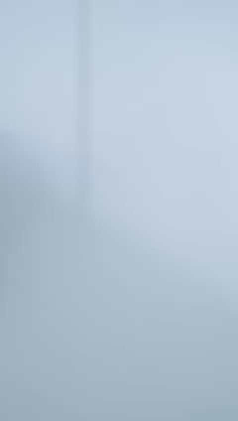 Videoyu yükle: Arı - Ahşap Puzzle